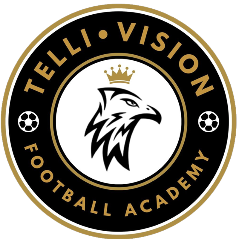 Telli Vision FA