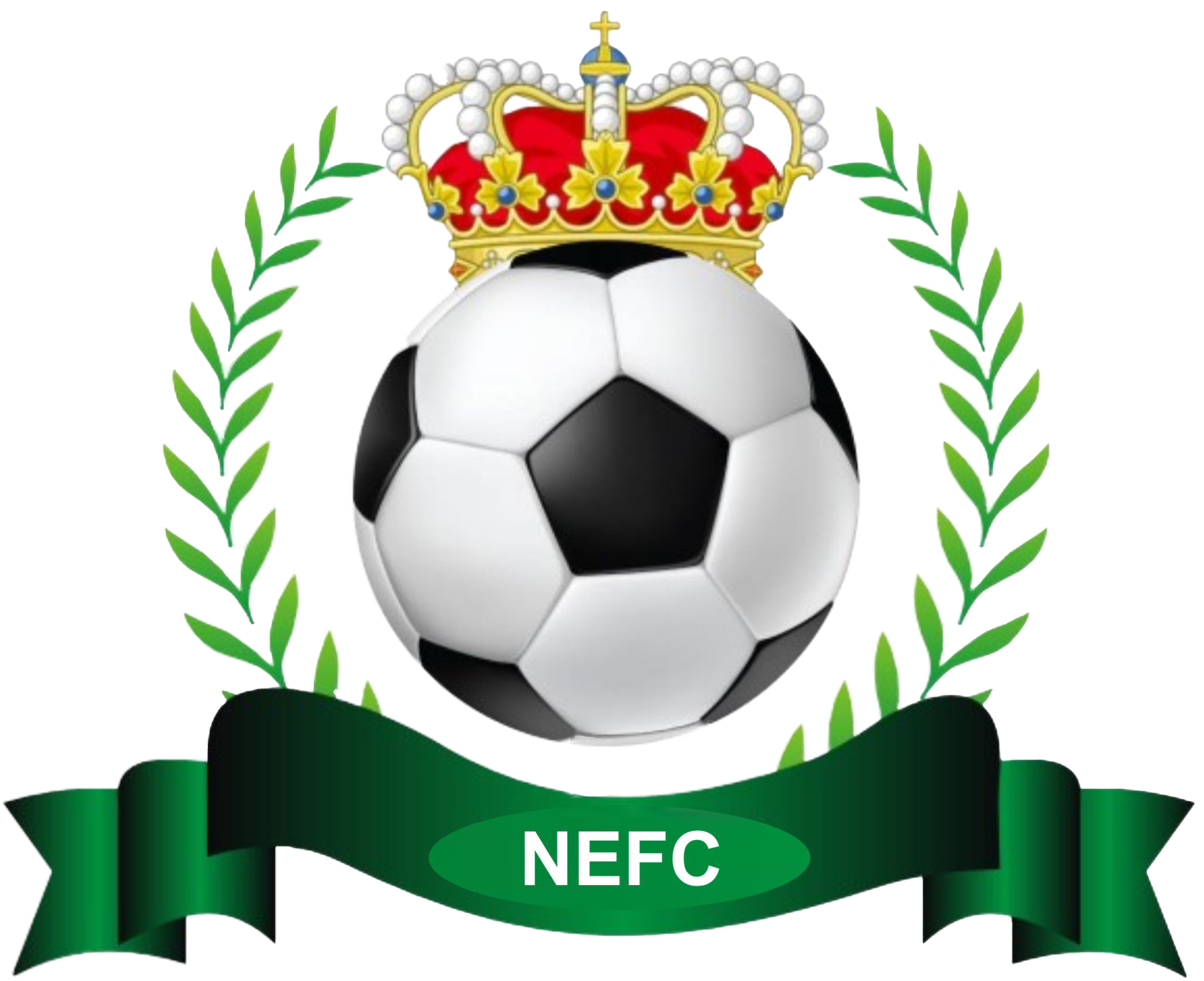 Narayi Empire FC Logo