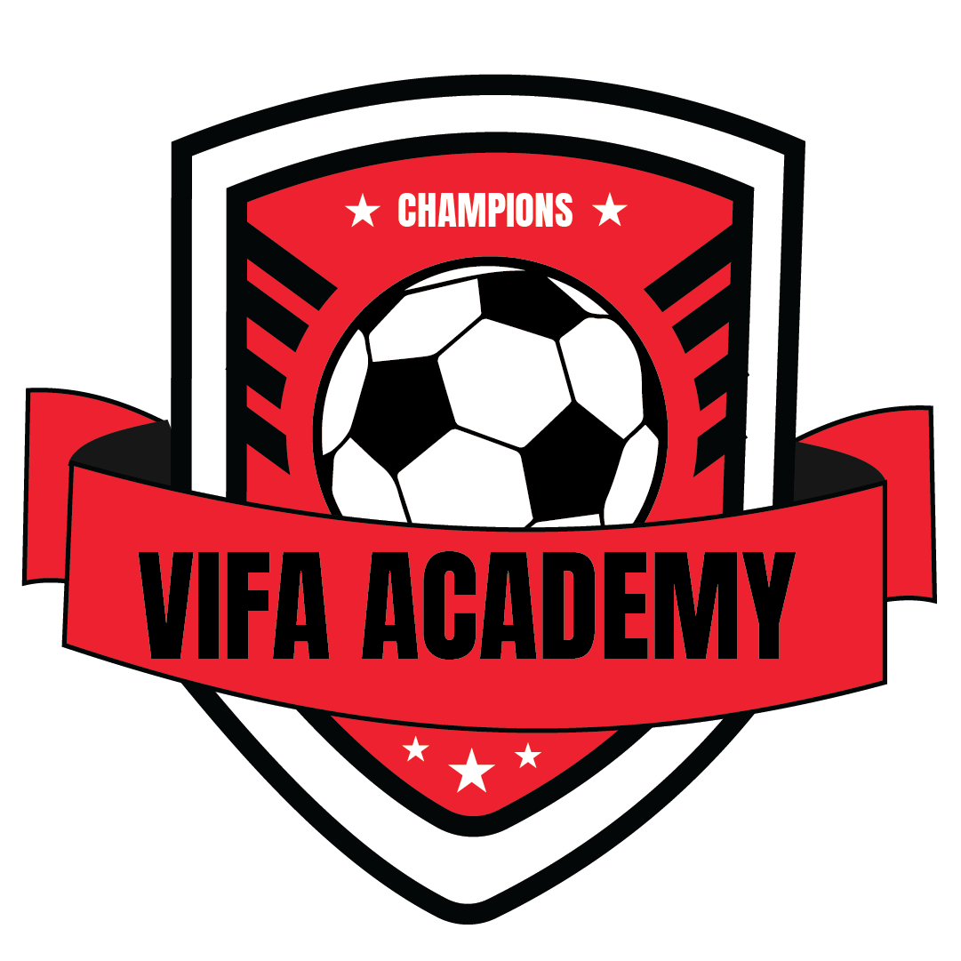 Vifa Academy Logo