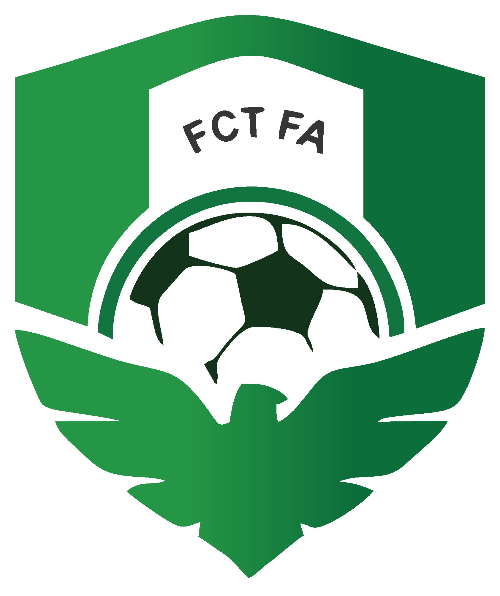 FCT Football Association Logo